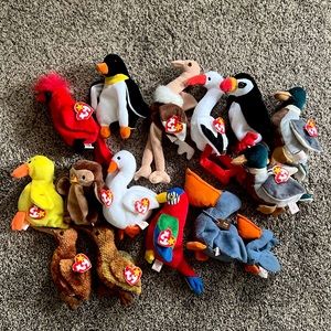 Ty Beanie baby bird bundle